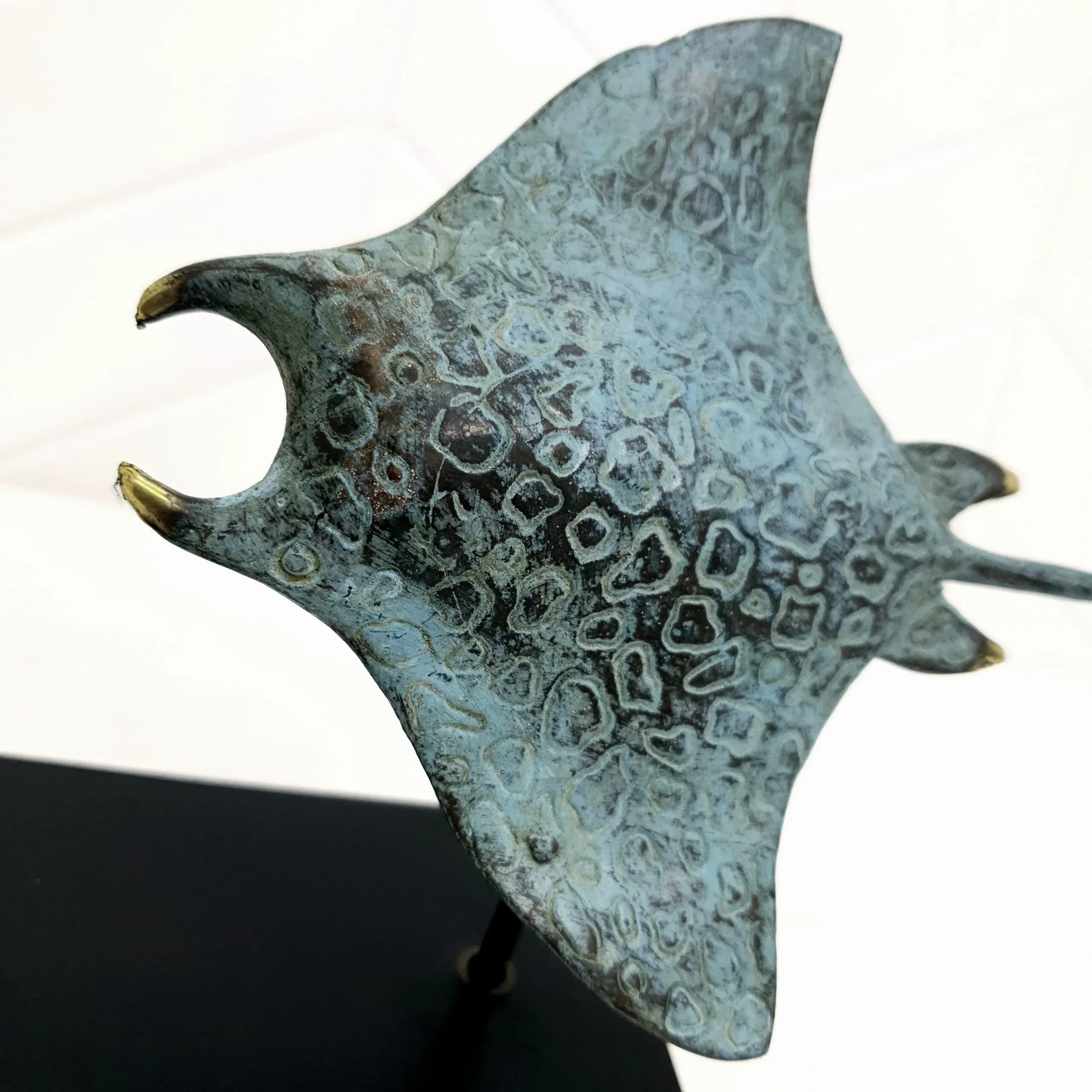 Twin Manta Ray — view 2