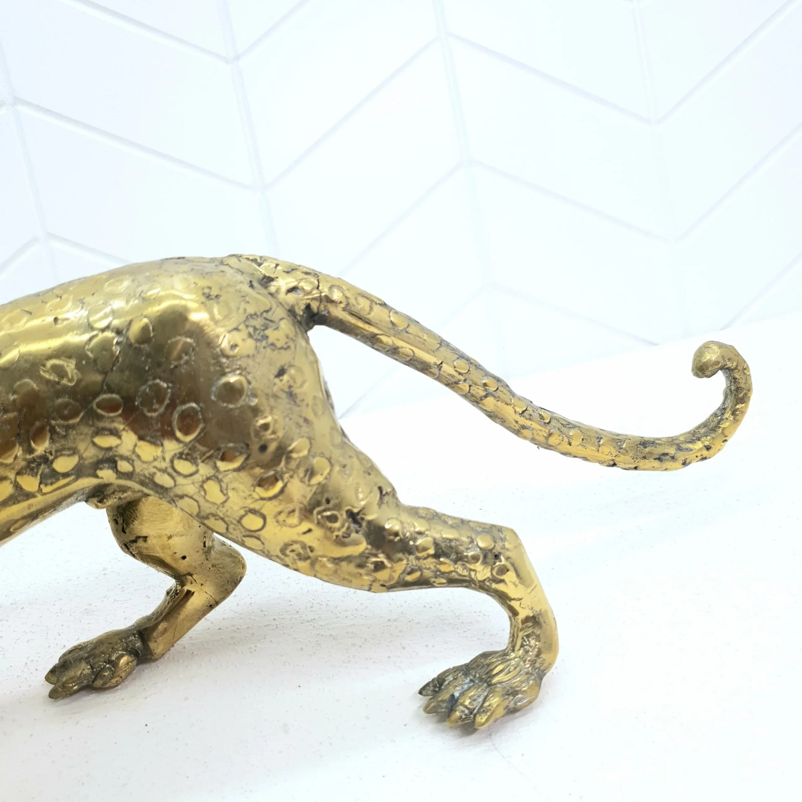 Leopard — view 2