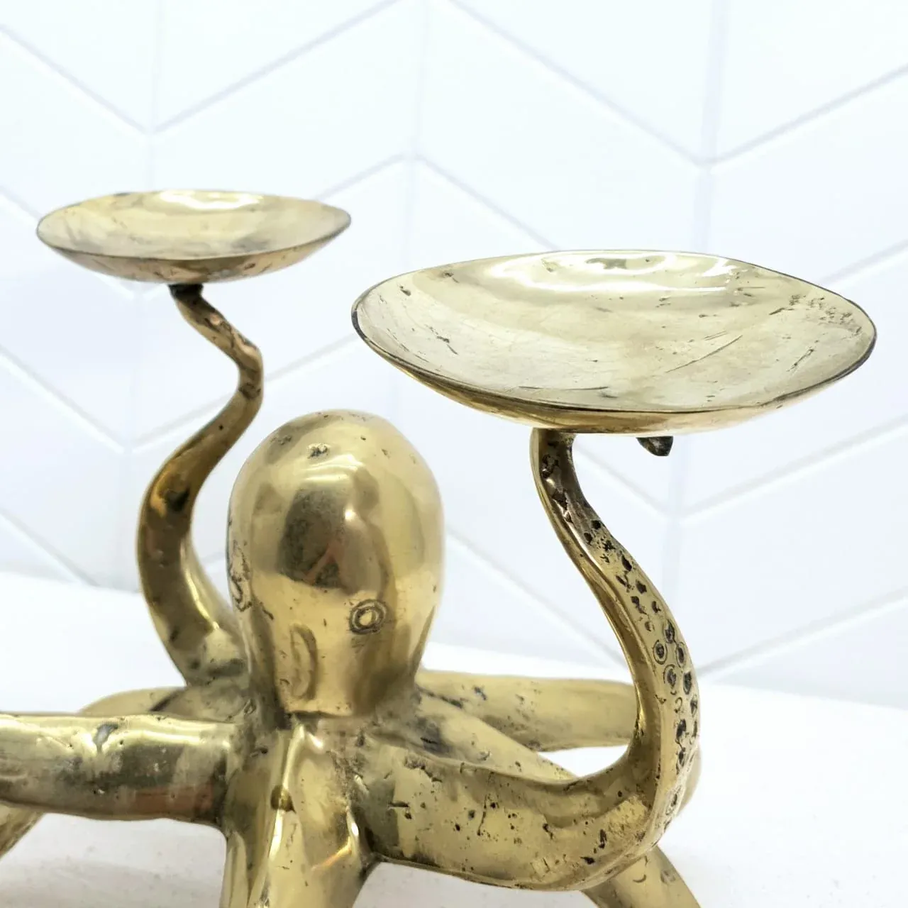 Octopus — view 2