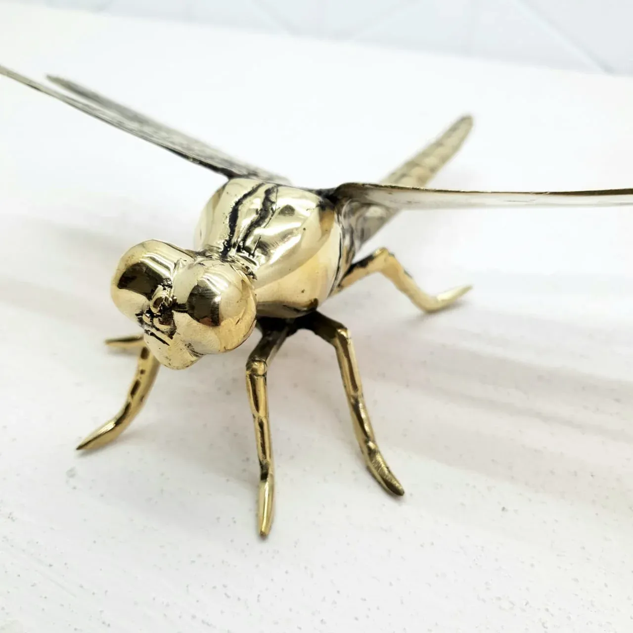 Dragonfly — view 2