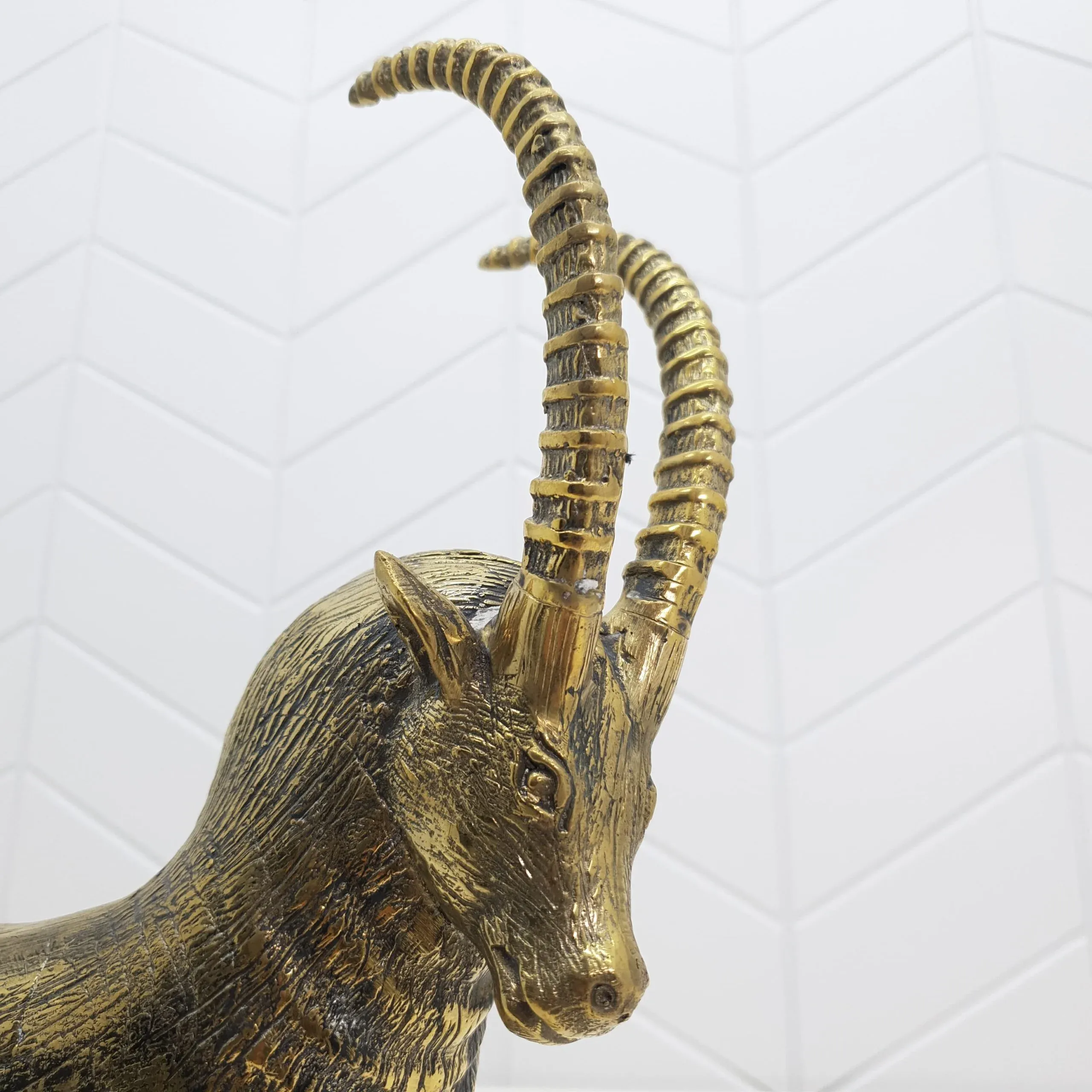 Ibex — view 2