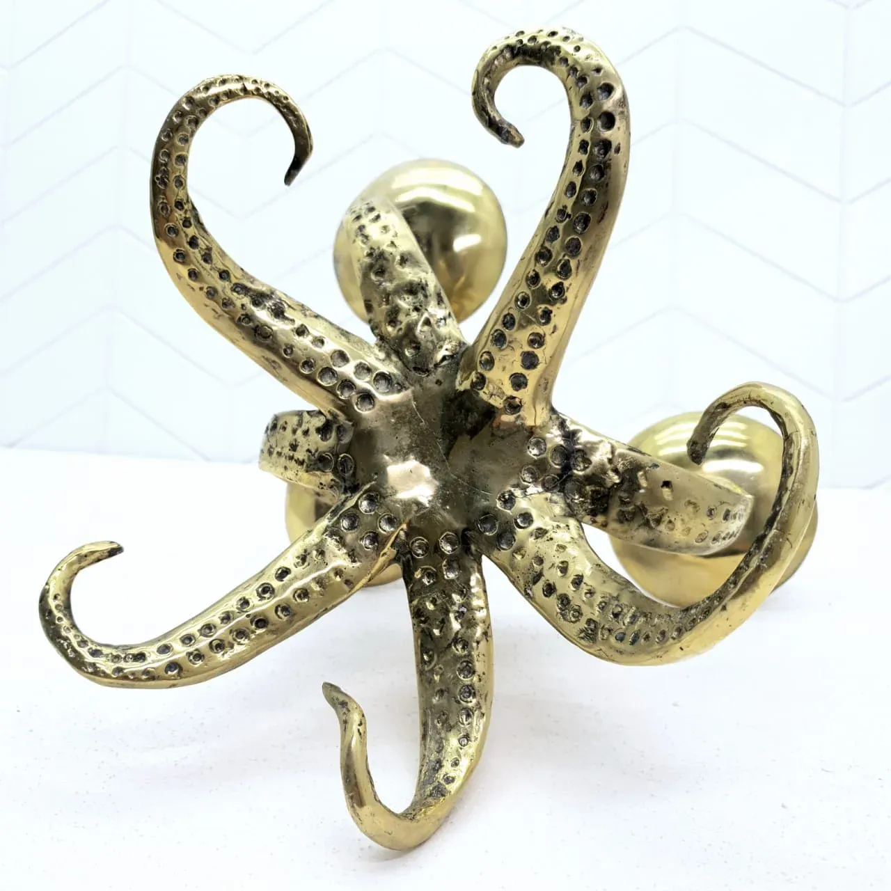 Octopus — view 3