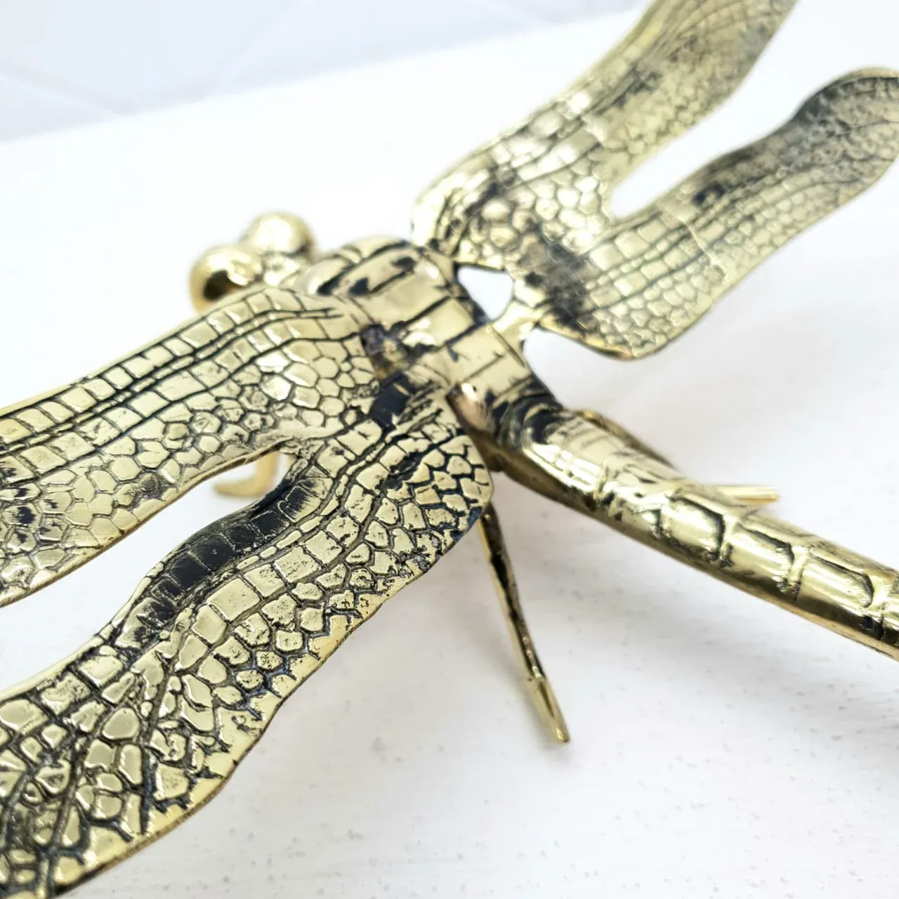 Dragonfly — view 3