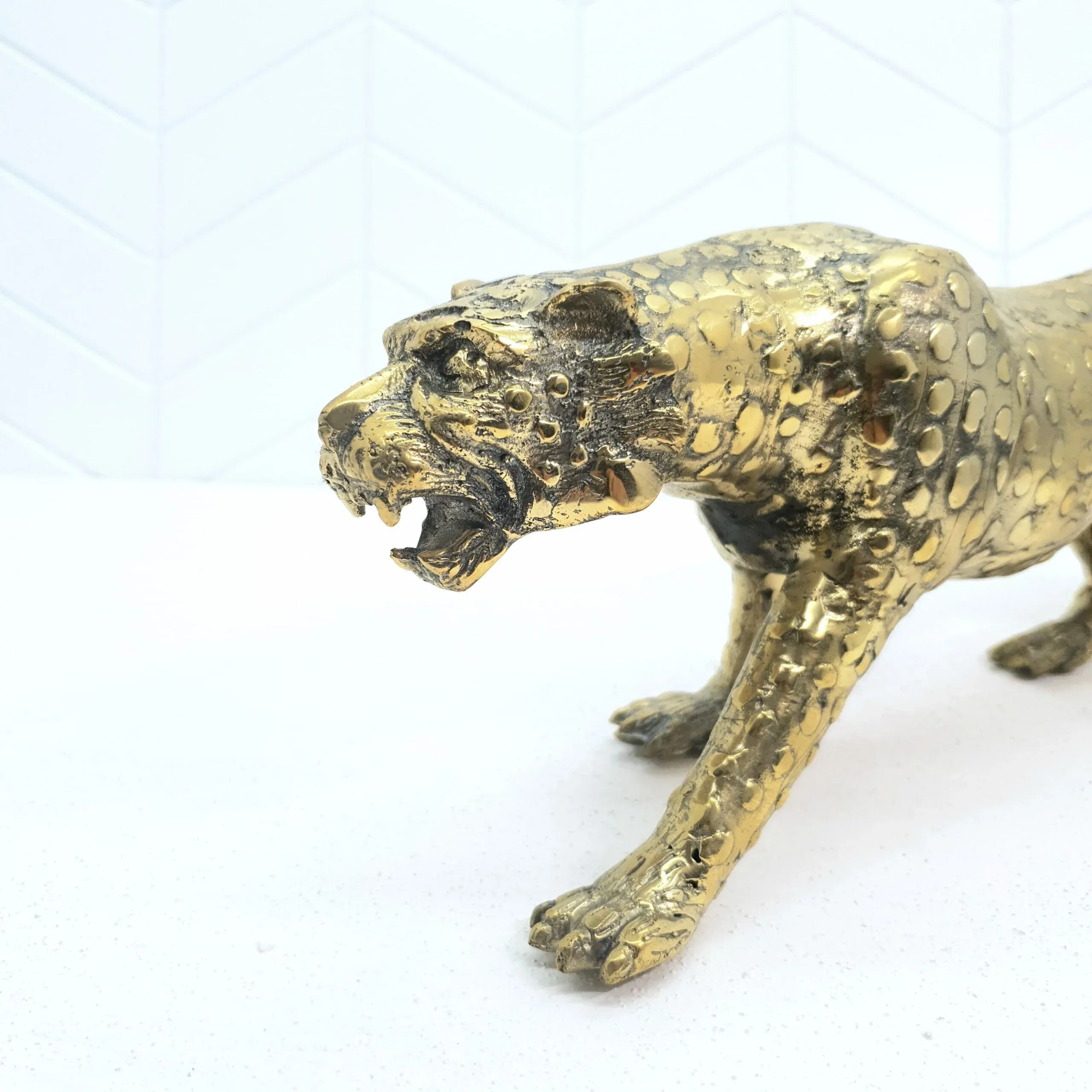 Leopard — view 3