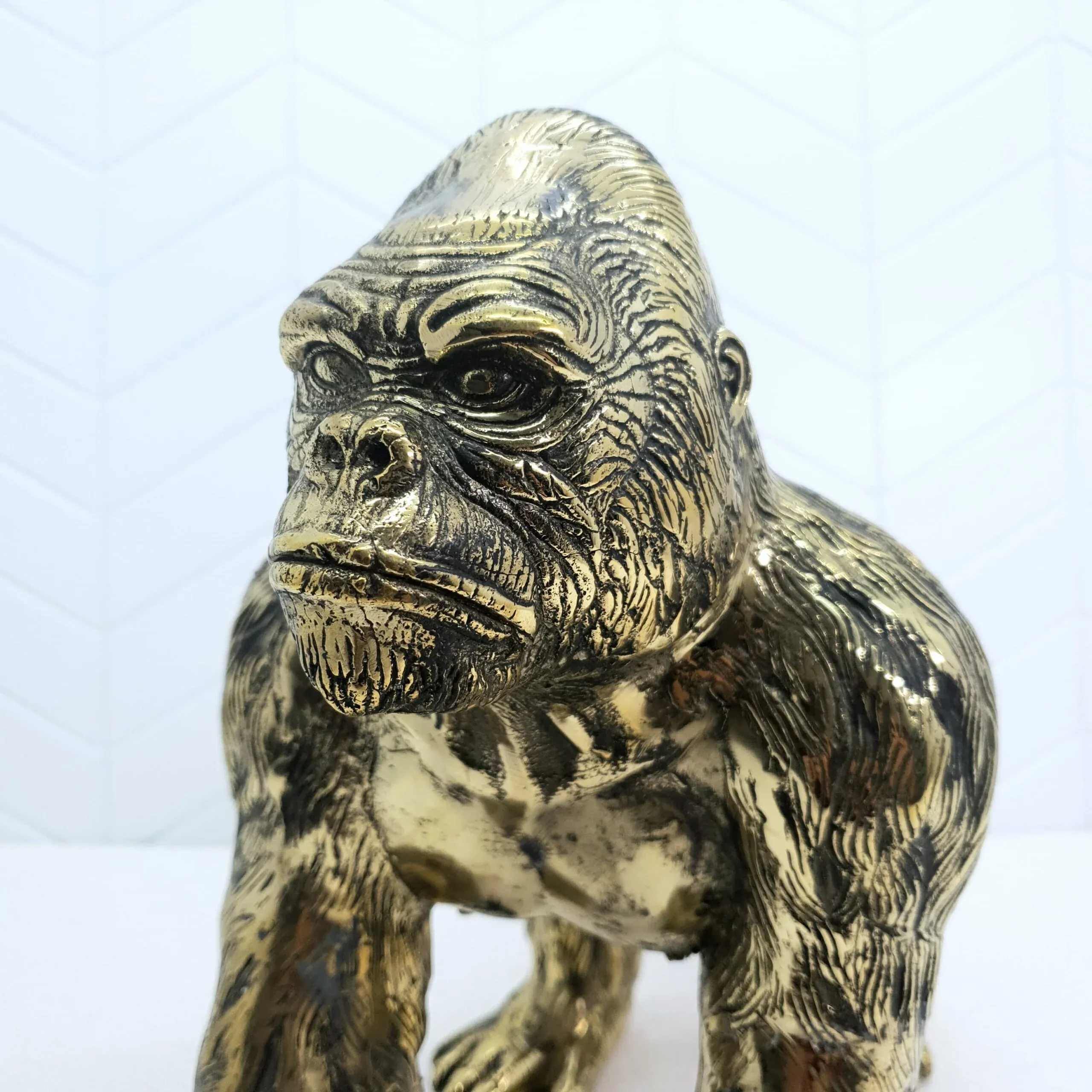 Gorilla — view 3