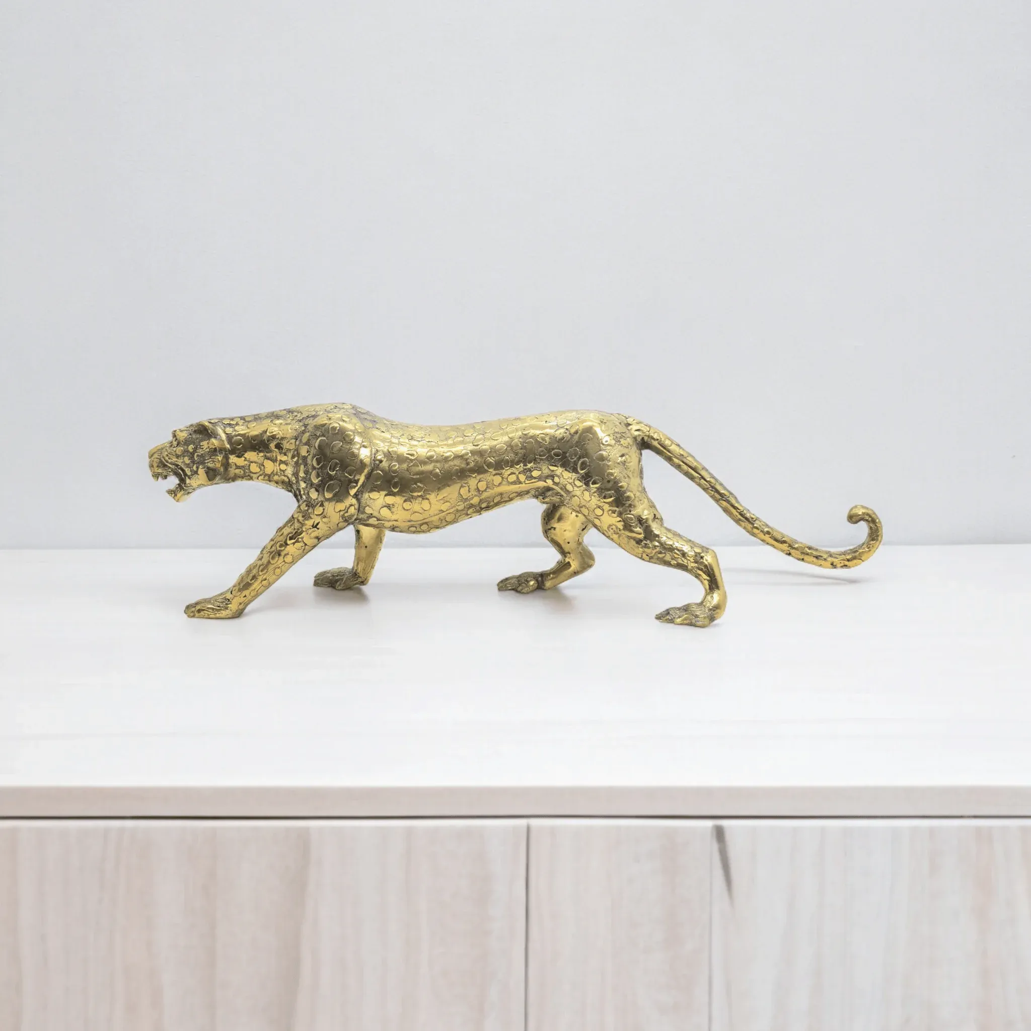 Leopard — view 4