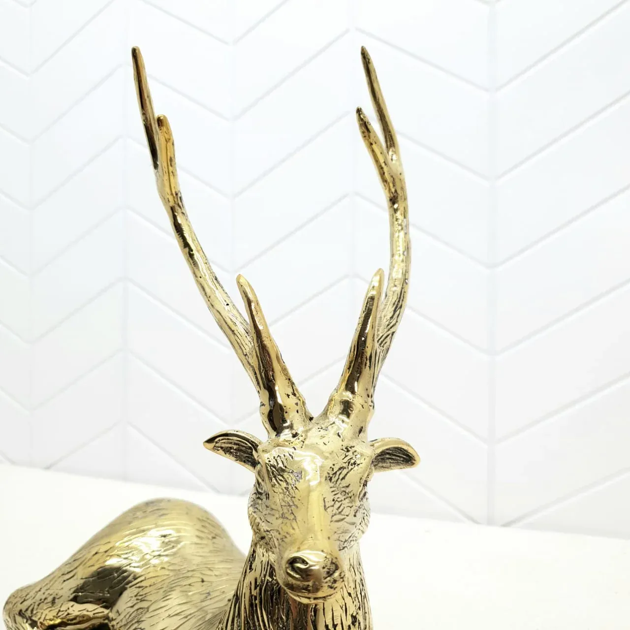 Deer — view 4