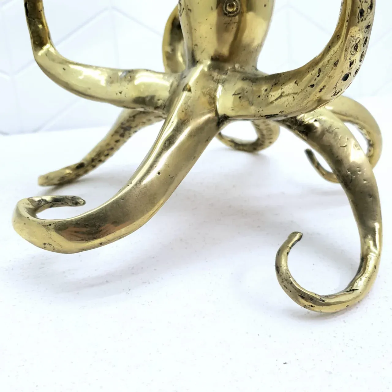 Octopus — view 4