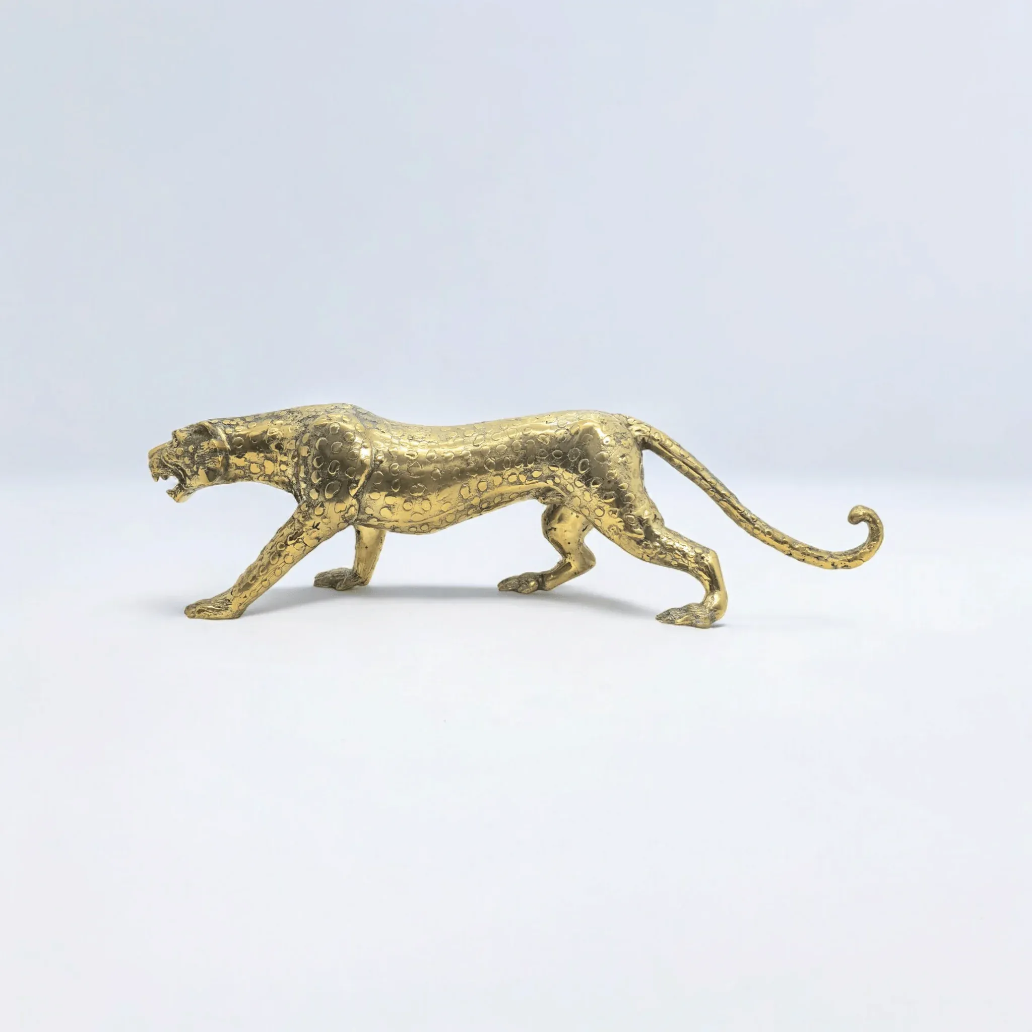 Leopard — view 5